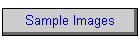 Sample Images